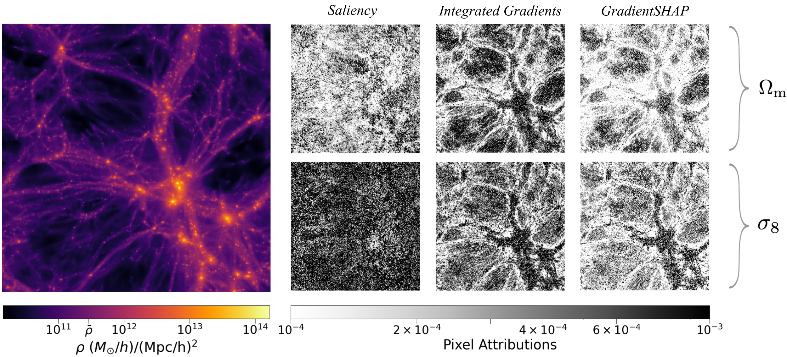 Visualization of Cosmic Web Attribution
