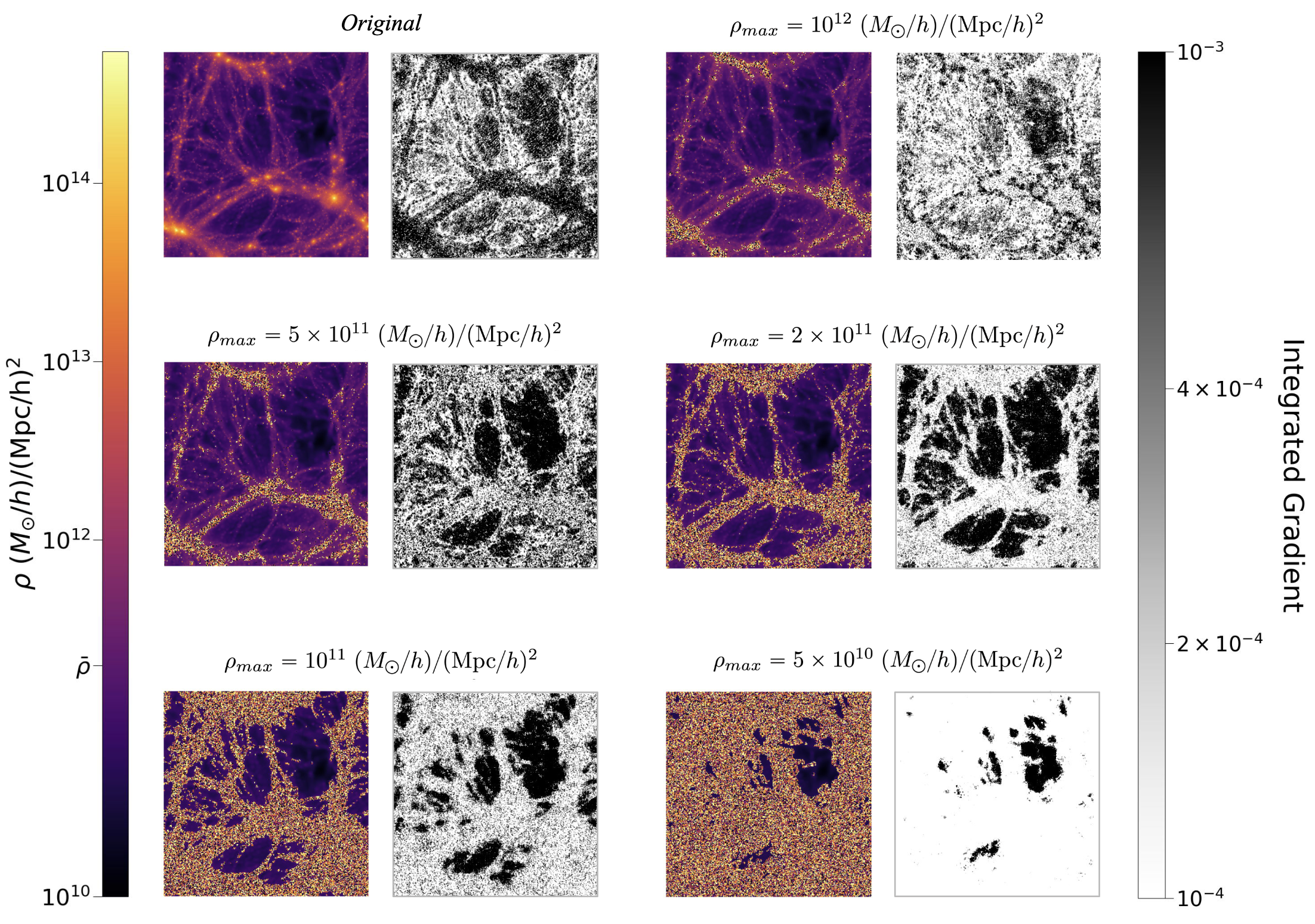 Visualization of rhomax cuts
