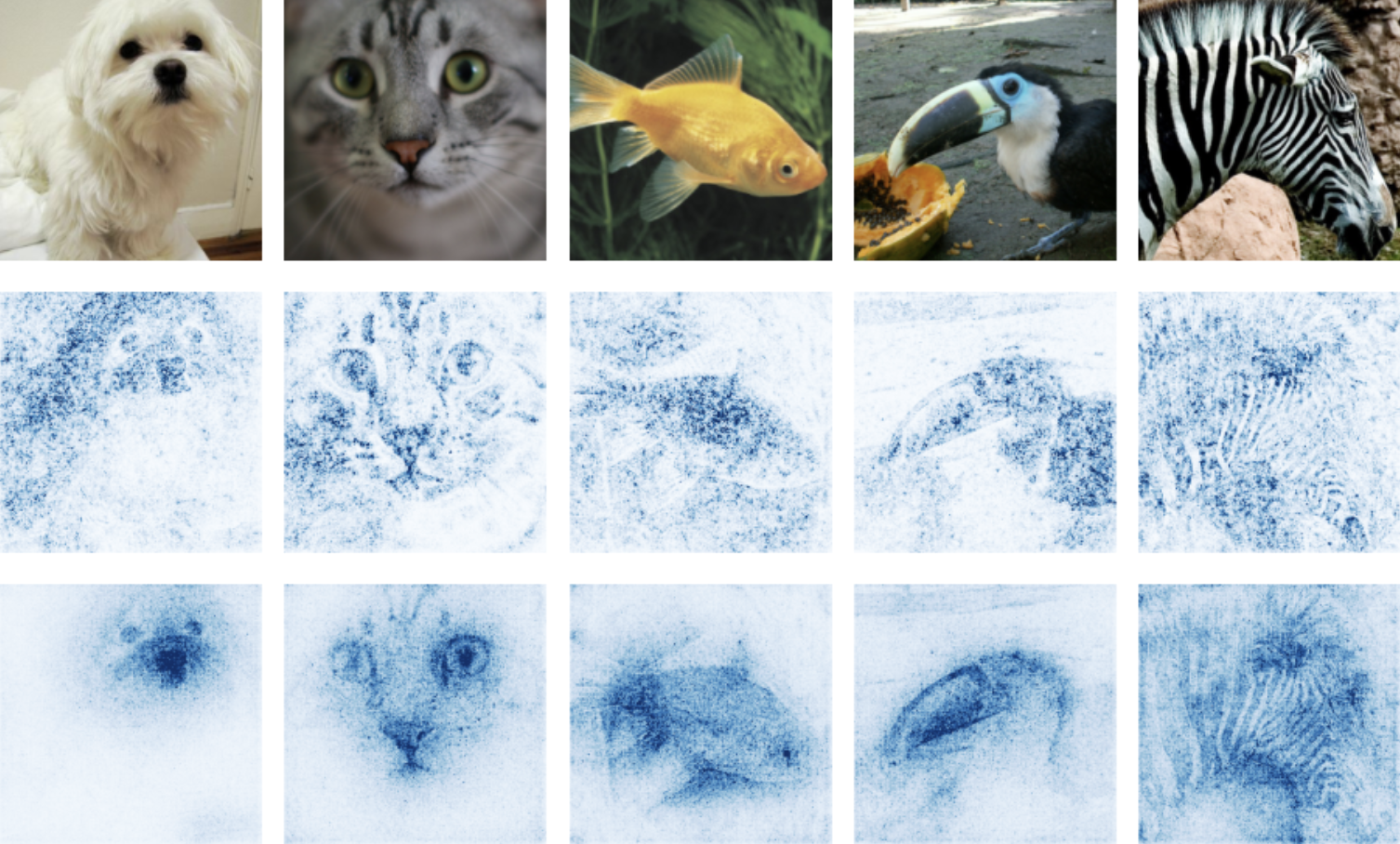 Diagram tracing which neurons drive a galaxy-morphology classifier's prediction, layer by layer